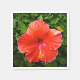 Tropischer Roter Hibiskus Bonita Springs Florida Serviette