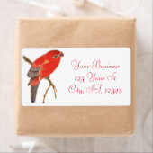 Tropischer Roter Papagei (Insitu)