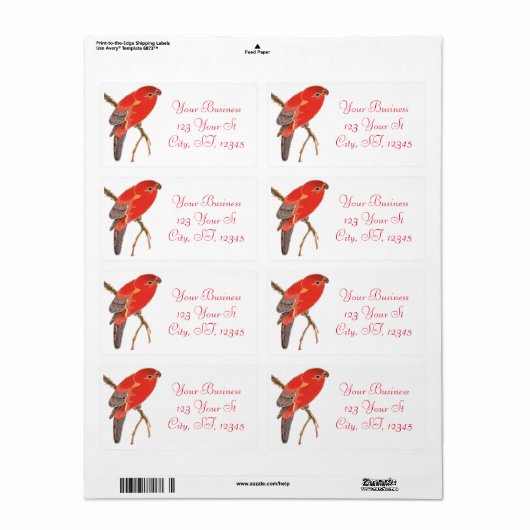 Tropischer Roter Papagei (Vorne)