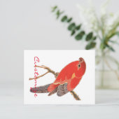 Tropischer Roter Papagei Postkarte (Stehend Vorderseite)