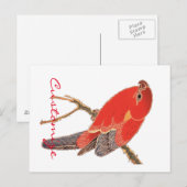 Tropischer Roter Papagei Postkarte (Vorne/Hinten)