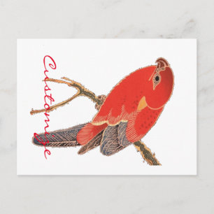 Tropischer Roter Papagei Postkarte