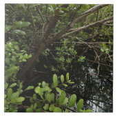 Tropischer Salzteich Fliese (Vorderseite)