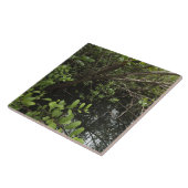 Tropischer Salzteich Fliese (Seite)