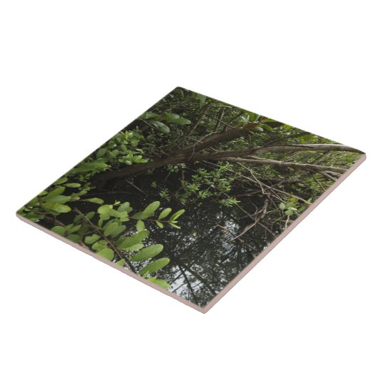 Tropischer Salzteich Fliese (Seite)