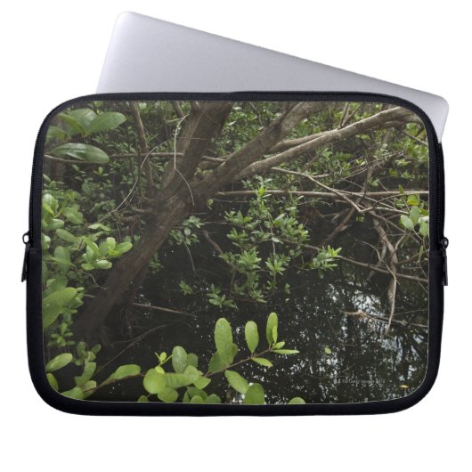 Tropischer Salzteich Laptopschutzhülle (Vorderseite)
