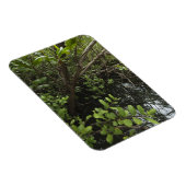 Tropischer Salzteich Magnet (Rechte Seite)