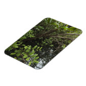 Tropischer Salzteich Magnet (Linke Seite)