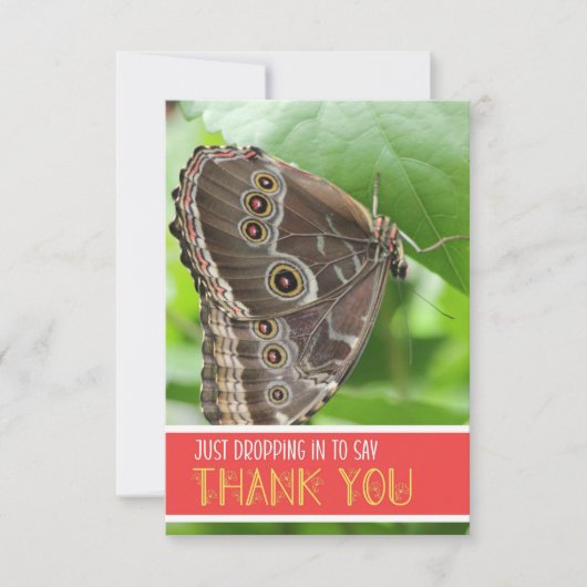 Tropischer Schmetterling auf dem Gebiet der Naturf Dankeskarte (Vorderseite)