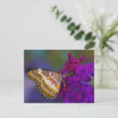 Tropischer Schmetterling auf violetten Blumen Postkarte (Stehend Vorderseite)