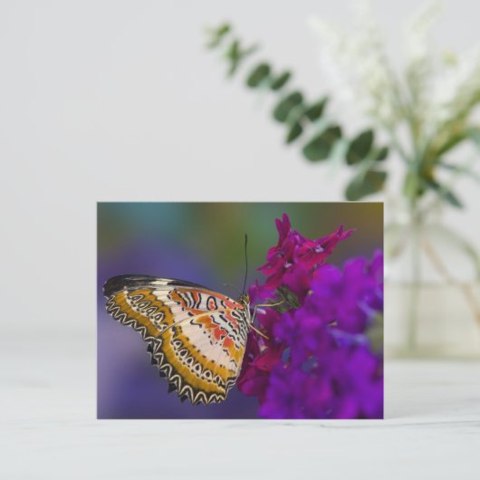 Tropischer Schmetterling auf violetten Blumen Postkarte (Stehend Vorderseite)