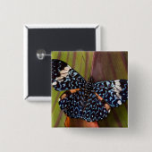 Tropischer Schmetterling Button (Vorne & Hinten)