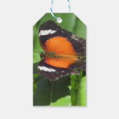 Tropischer Schmetterling Geschenkanhänger (Vorderseite)
