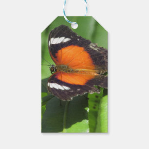 Tropischer Schmetterling Geschenkanhänger