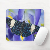 Tropischer Schmetterling Lila Iris Mousepad (Mit Mouse)