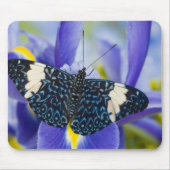 Tropischer Schmetterling Lila Iris Mousepad (Vorne)
