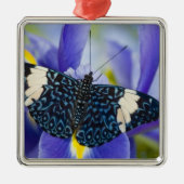 Tropischer Schmetterling Lila Iris Silbernes Ornament (Vorne)