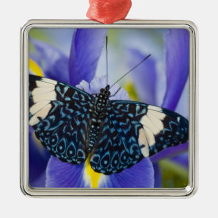 Tropischer Schmetterling Lila Iris Silbernes Ornament