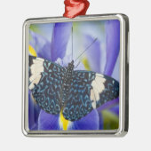 Tropischer Schmetterling Lila Iris Silbernes Ornament (Links)