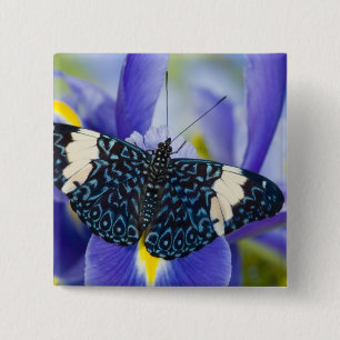 Tropischer Schmetterling Lila Schwertlilie Button