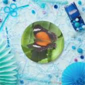 Tropischer Schmetterling Pappteller (Party)