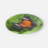 Tropischer Schmetterling Pappteller (Schrägansicht)