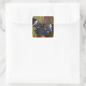 Tropischer Schmetterling Quadratischer Aufkleber (Tasche)