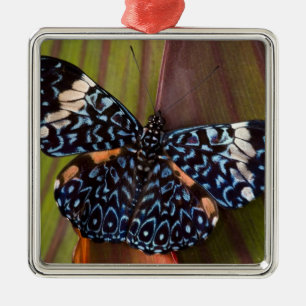 Tropischer Schmetterling Silbernes Ornament
