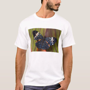 Tropischer Schmetterling T-Shirt