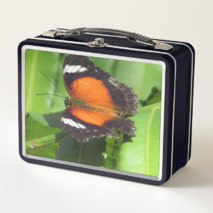 Tropischer Schmetterlingskoffer Metall Brotdose