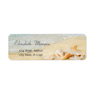 Tropischer Sommer Strand, Sand, Seashells