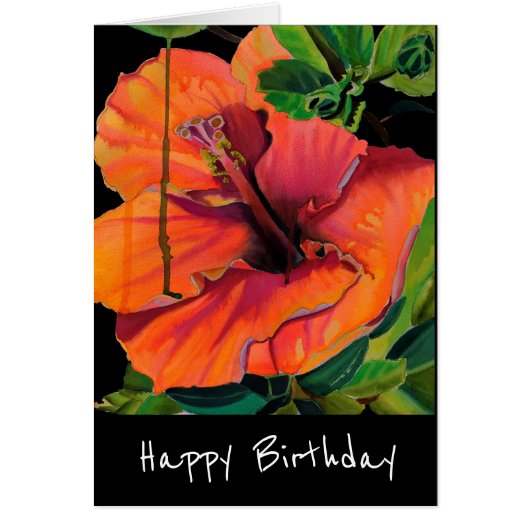 Tropischer Sommerorange-Hibiskus (Vorne)