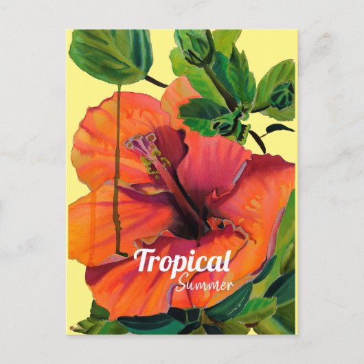 Tropischer Sommerorange-Hibiskus Postkarte (Vorderseite)