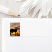 Tropischer Sonnenuntergang (Insitu)