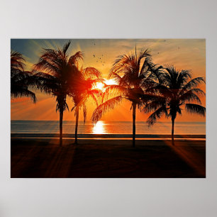 Tropischer Sonnenuntergang Poster