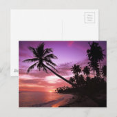 Tropischer Sonnenuntergang Postkarte (Vorne/Hinten)