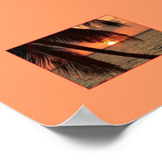 Tropischer Splendor Poster (Ecke)