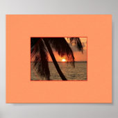 Tropischer Splendor Poster (Vorne)