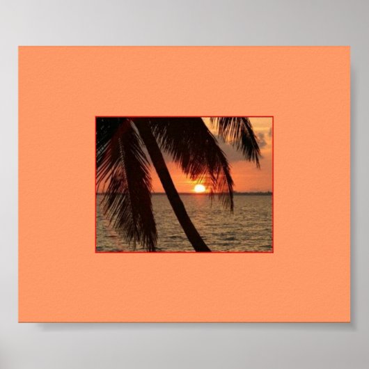 Tropischer Splendor Poster (Vorne)