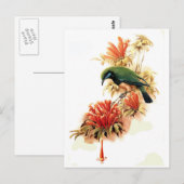 Tropischer Splendor Postkarte (Vorne/Hinten)