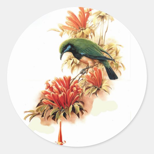 Tropischer Splendor Runder Aufkleber (Vorderseite)