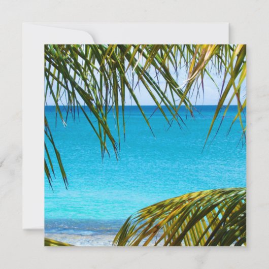 Tropischer Strand gerahmt mit Palmfronten Hochzeit Einladung (Rückseite)