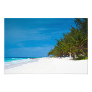 Tropischer Strand in Barbados Fotodruck