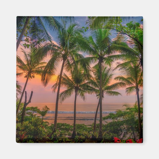 Tropischer Strand | Nationalpark Corcovado Magnet (Vorne)