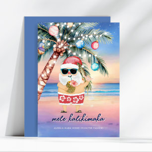 Tropischer Strand Palmenbaum Weihnachtsmann Weihna Feiertagskarte
