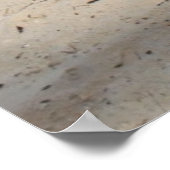 Tropischer Strand Poster (Ecke)