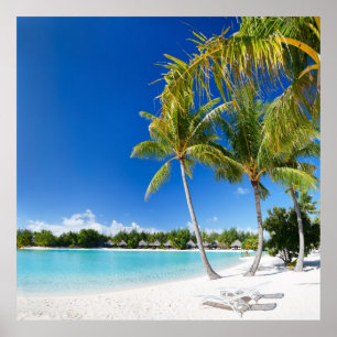 Tropischer Strand Poster