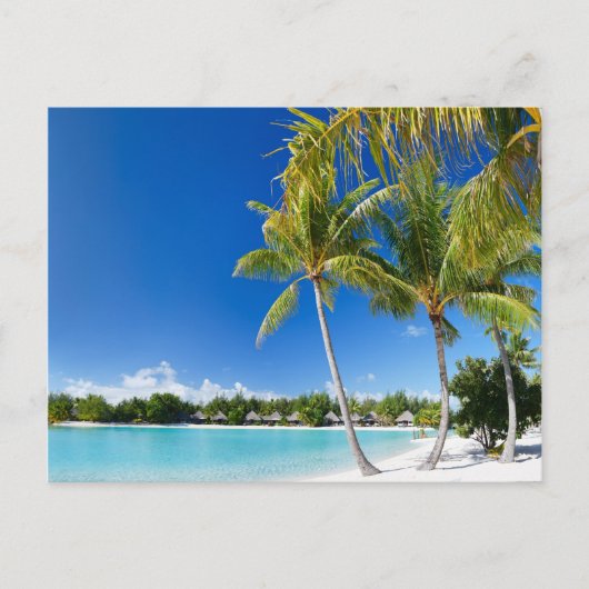Tropischer Strand Postkarte (Vorderseite)