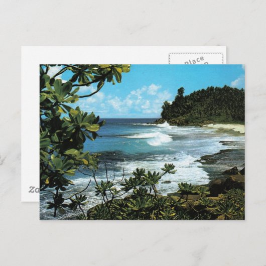 Tropischer Strand Postkarte (Vorne/Hinten)