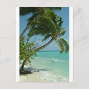 Tropischer Strand Sand Sonne Wasser Ozean Wellen S Postkarte